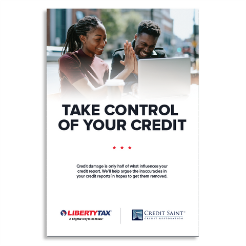 Credit Repair (Version 2) | Choose Poster or Canvas Wrap | 24"W x 36"H  [2022]