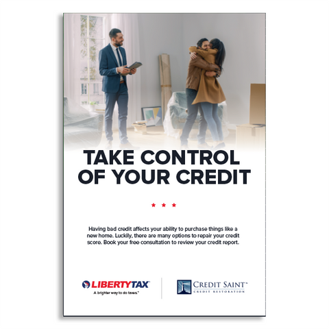 Credit Repair (Version 1) | Choose Poster or Canvas Wrap | 24"W x 36"H  [2022]